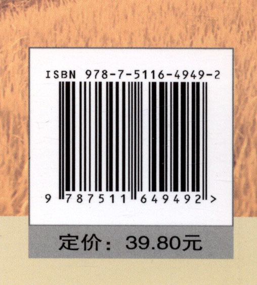 《增量配电网规划技术导则 NB/T 10978-2022 》