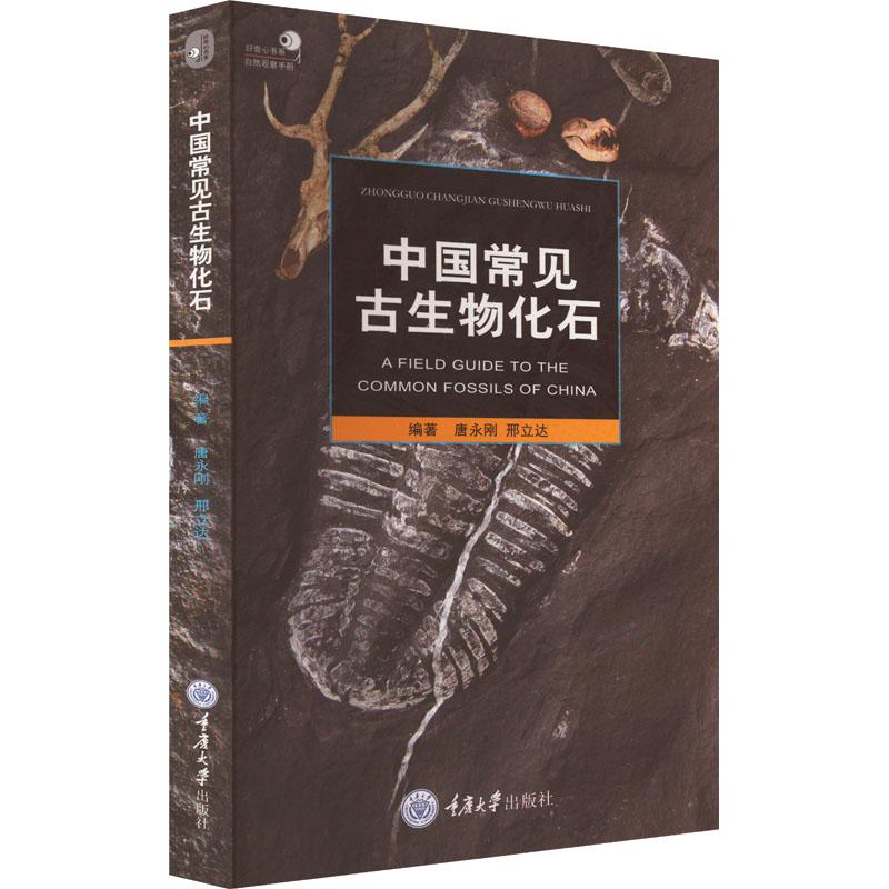 《中国常见古生物化石 》